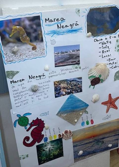 WhatsApp Image 2025 07 02 at 15.30.06 1